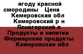 ягоду красной смородины › Цена ­ 100 - Кемеровская обл., Кемеровский р-н, Ясногорский п. Продукты и напитки » Фермерские продукты   . Кемеровская обл.